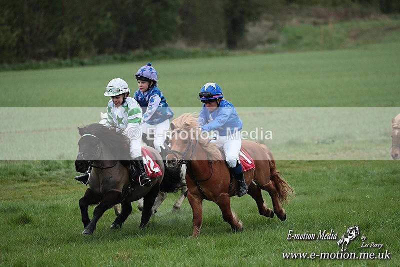 SHETPR 210425 183 - Shetland Ponies Paxford Races 21/04/25