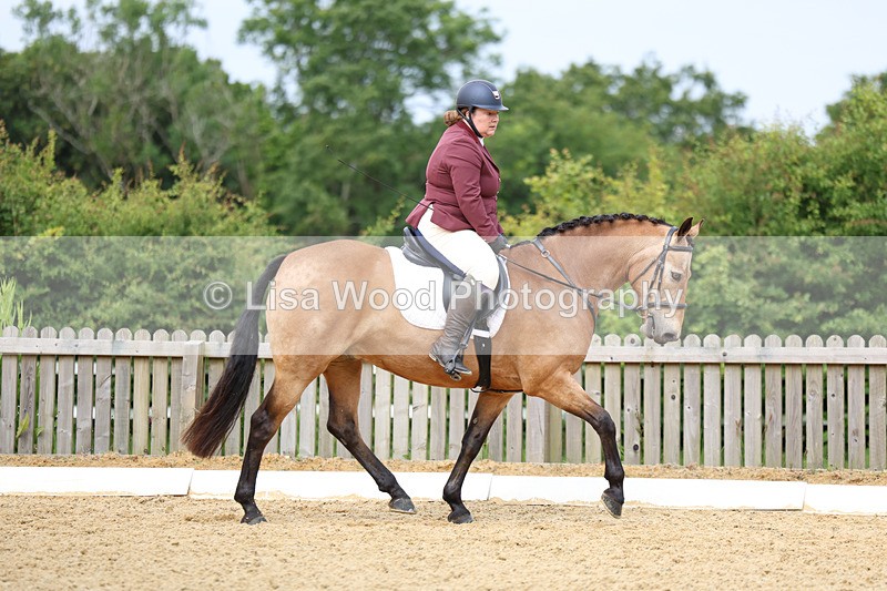 3E7A9119 - Class 2: Intro 1 2024 Section B