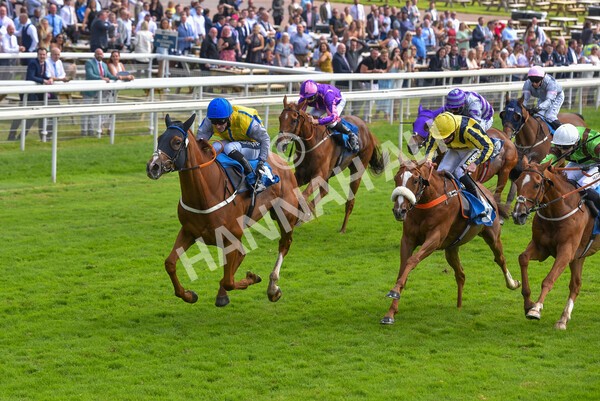 yr10072021r3-49 - Race 3: 2.55pm John Smith's Stayers Stakes