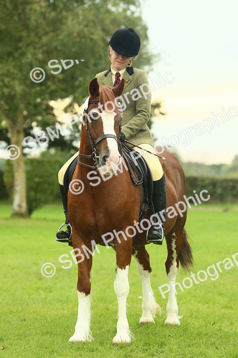SBM_72228 - S60 - Mountain & Moorland Ridden Large Breeds
