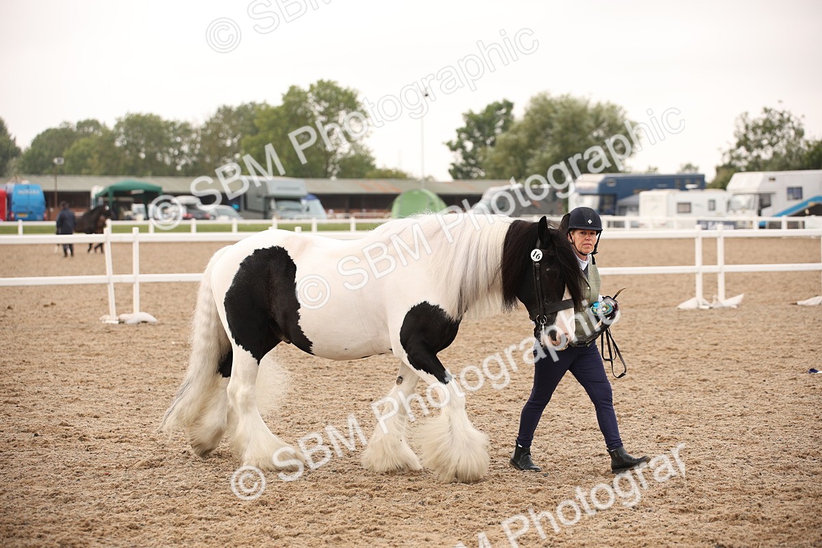 SBM_22191 - Class 707 - Ridden Groom-Helpers Class
