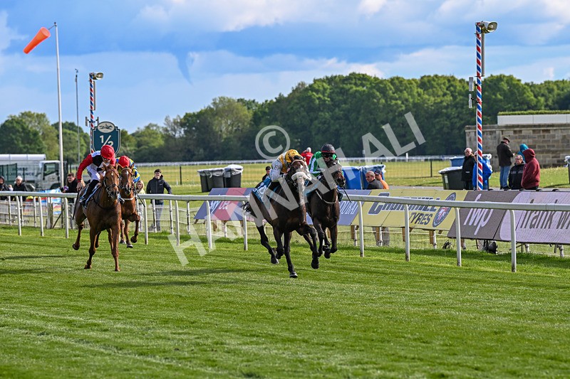 140526-Race 7-Arc Ole Ole-5995 - Race 7 5.15pm Frank Whittle Partnership Handicap