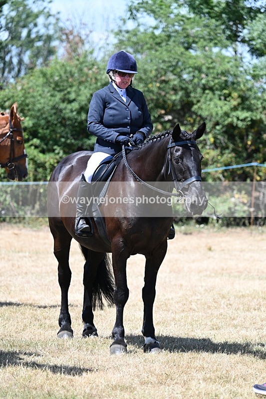 WJ7_3154 - Class 7 Riding Club Show Horse