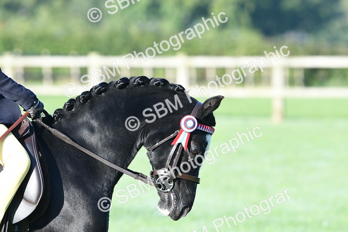 SBM_33877 - S16 - Condition & Turnout - Ridden