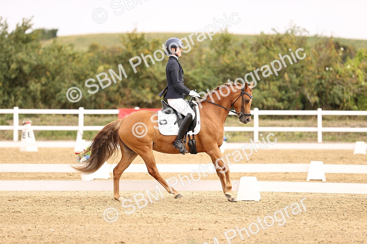 SBM_011699 - Class 1 - Medium 5