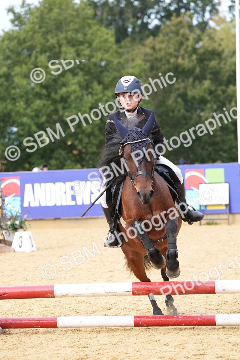 SBM_70592 - J3 - Mini Tour Junior Pony 40cm Championship
