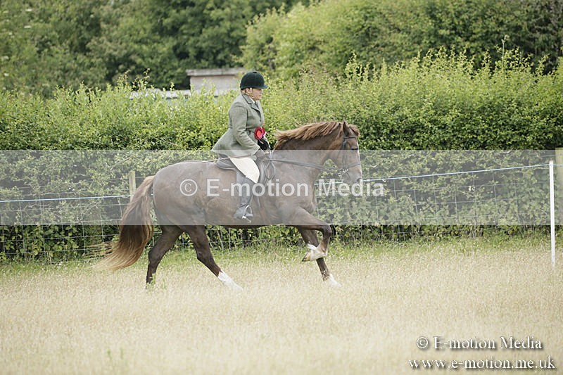 B230619-0979 - Bourne Valley Riding Club Summer Show 23/06/19