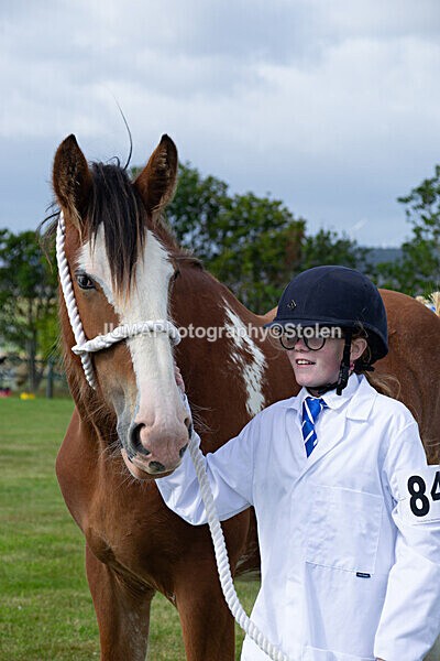 DSC_0183 - Ring 1