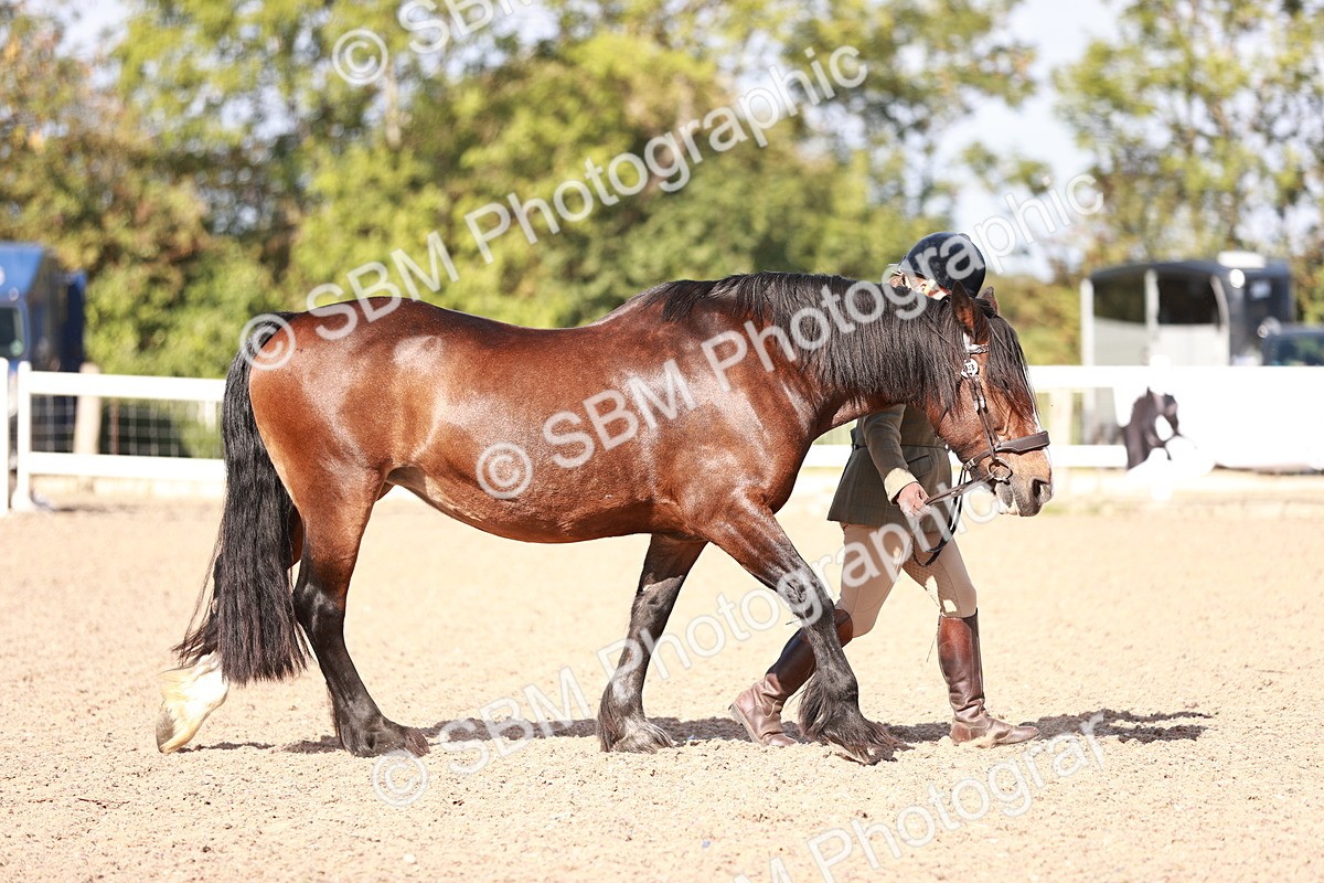 SBM_22872 - Class 706 - IH Veteran