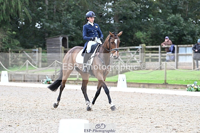 231019-122217-02739 - 044-COOLEY.ON.THE.CARDS-Charlotte.Cooke-DR