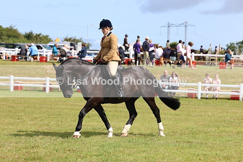 3E7A9818 - Class 5: Rising Star Lightweight/Heavyweight Cobs