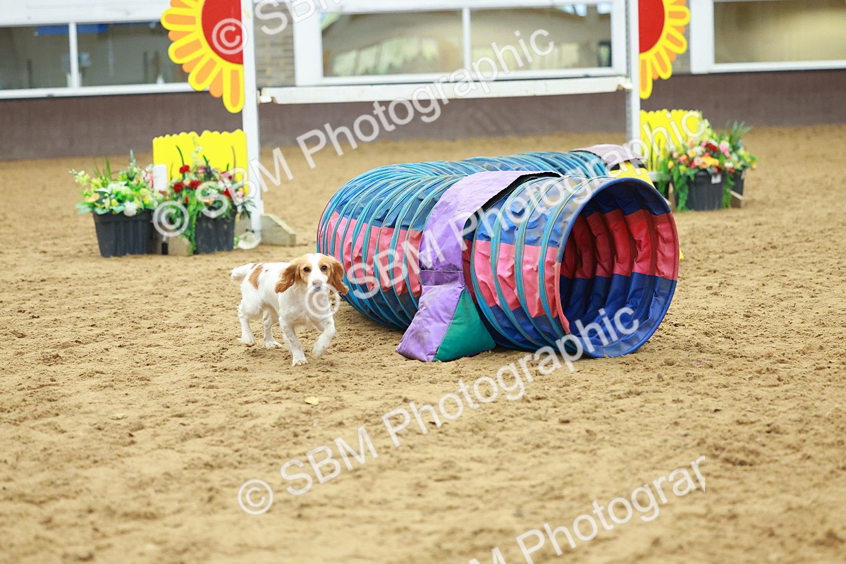 SBM_002527 - Class 3 - Horse & Hound (60cm)