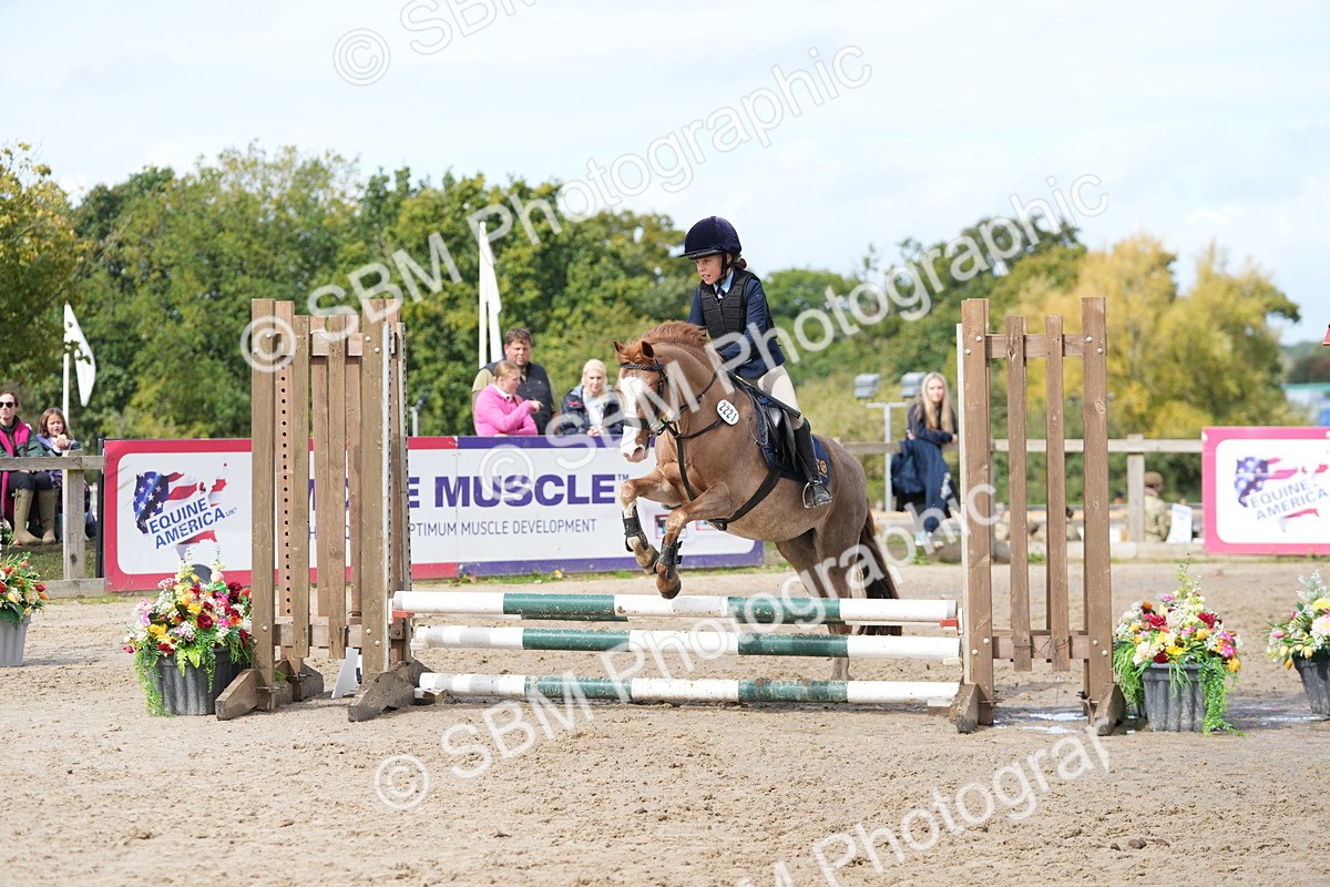 SBM_40743 - Supreme Championship Pony 50-55cm