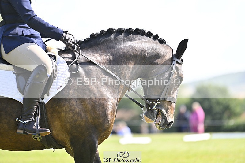 240824X-114515-26023 - D80 Section E and F 11.00 to 12.00