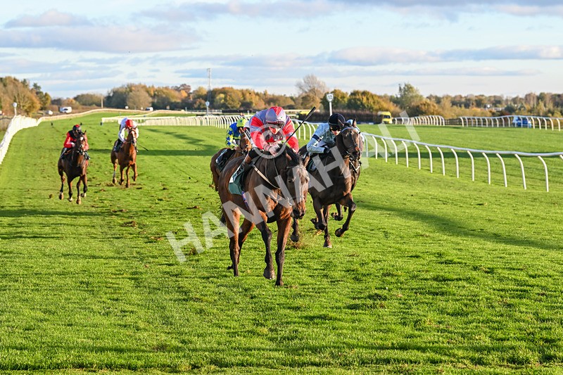 291024-Race 6-Count DOrsay-6350 - Race 6