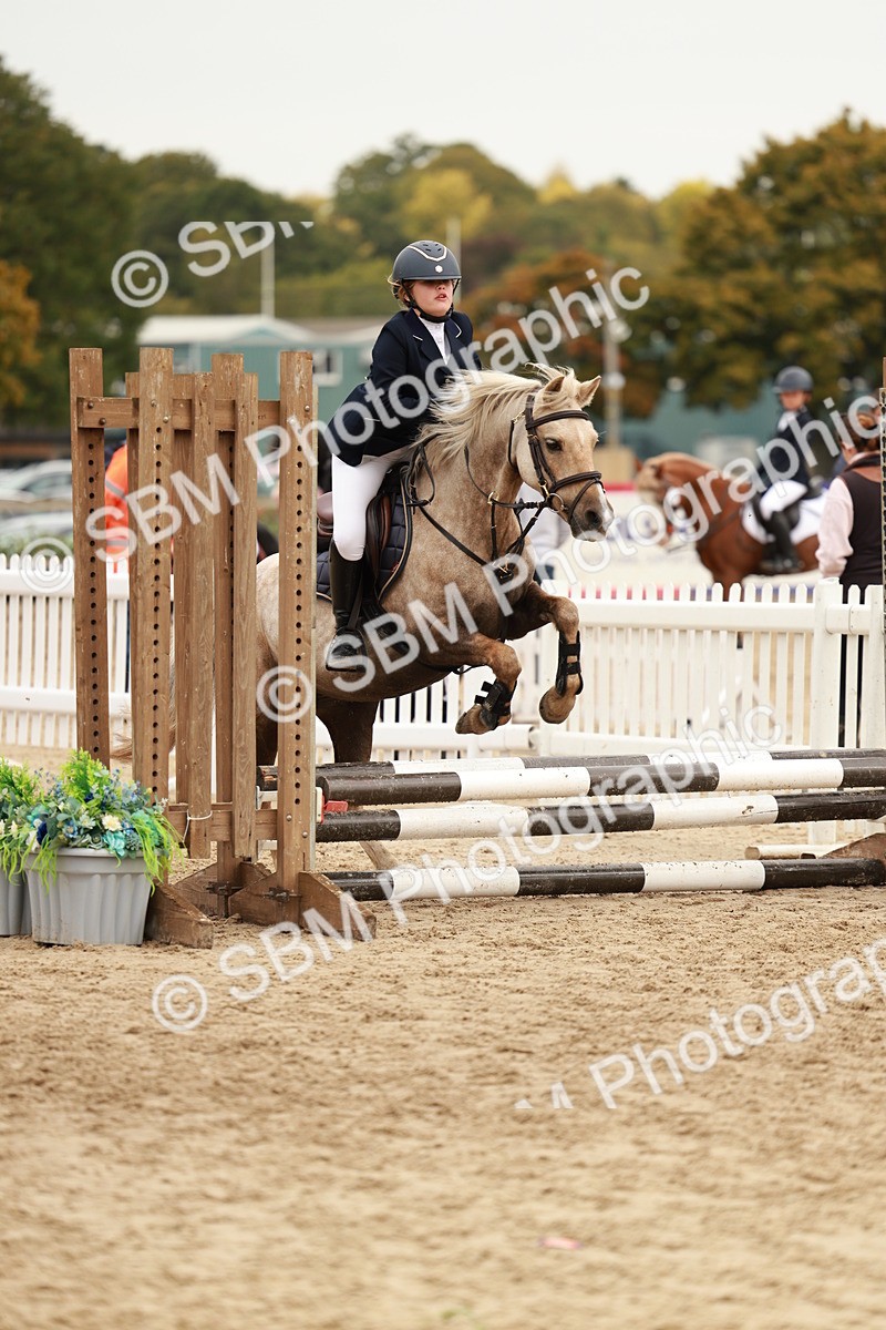 SBM_58009 - J11 - Junior Pony 50cm Championship