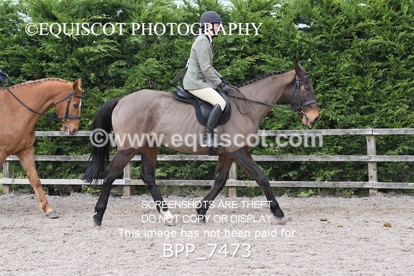 BPP_7473 - RING 1  (RIDDEN HORSES / IN HAND / VETERAN ETC)