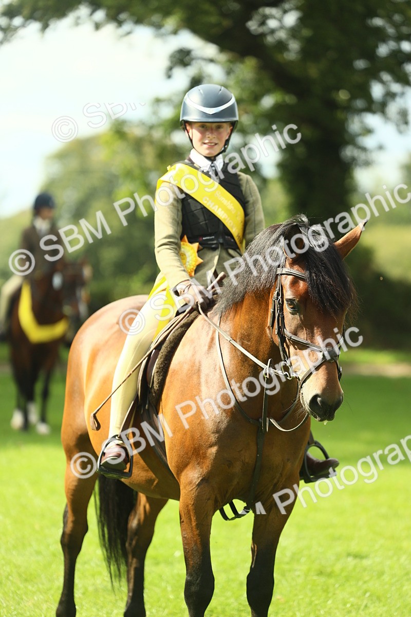 SBM_44955 - Working Hunter Pony Supreme Championship