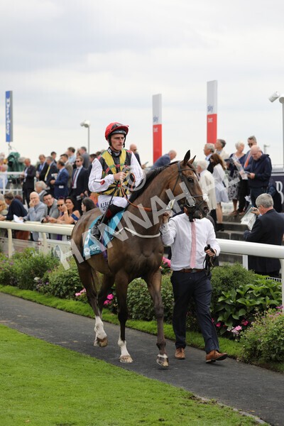 yr18082022r3-4 - Race 3 3.00pm Clipper Logistics Stakes