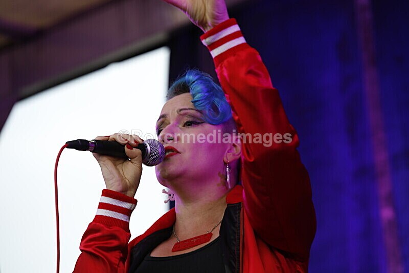  - ELMSTOCK 2019 the music makers