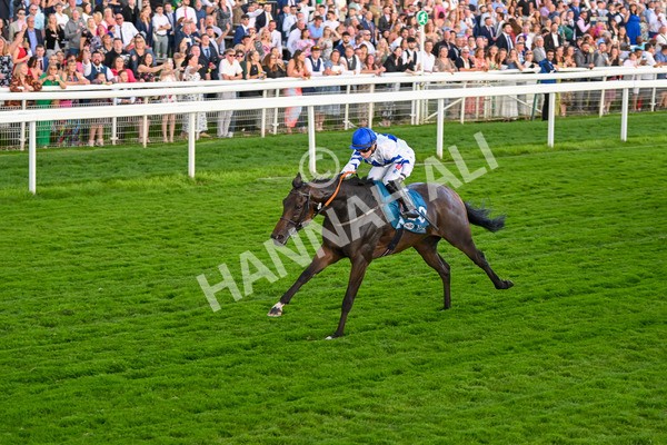 260724-Race 4-Dicko The Legend-5232 - Race 4 7.15pm Tomahawk Restaurants Handicap