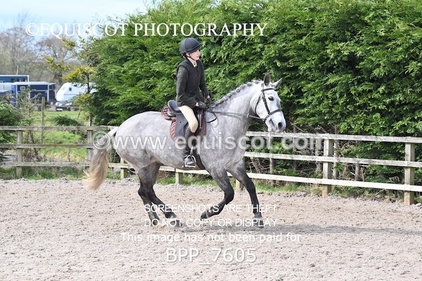 BPP_7605 - RING 1  (RIDDEN HORSES / IN HAND / VETERAN ETC)
