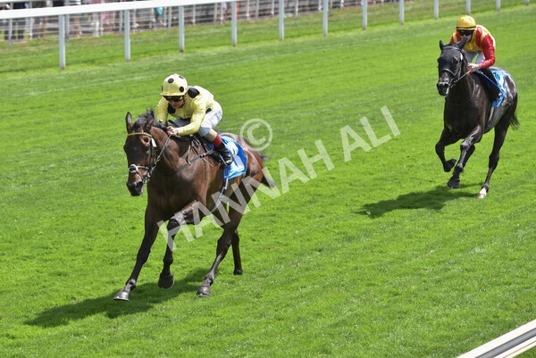 yr09072022r2-18 - Race 2 2.20pm John Smith's Silver Cup