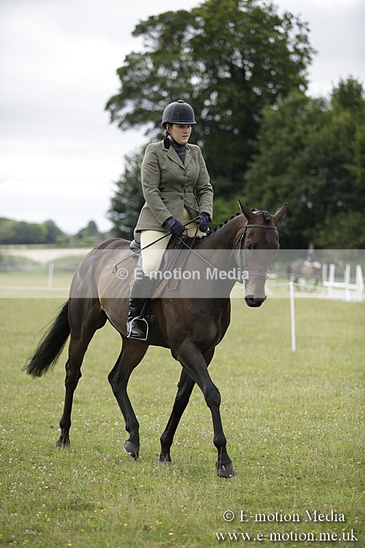 BVR160717-454 - Ring 1 BVRC Show 16/07/17