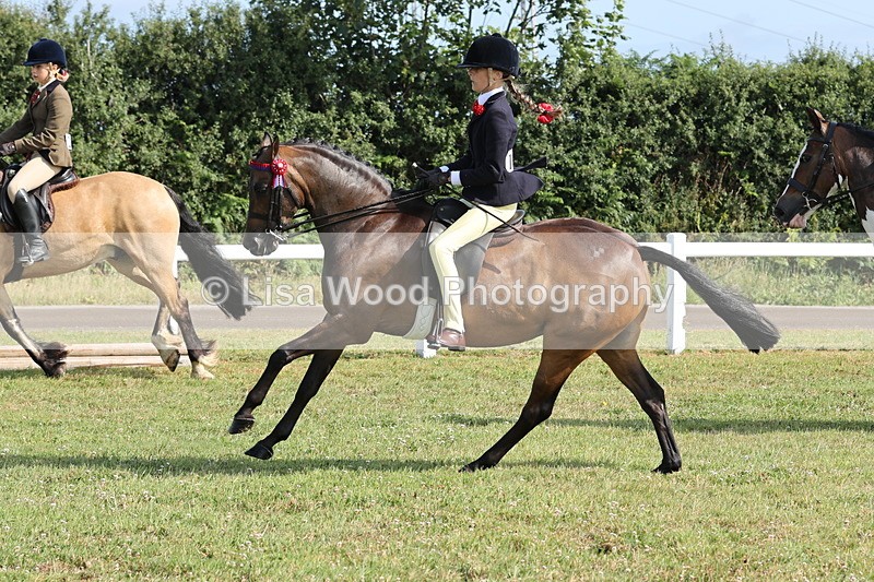 JPP_0714 - Class 16: Cornish Combination Young Rider