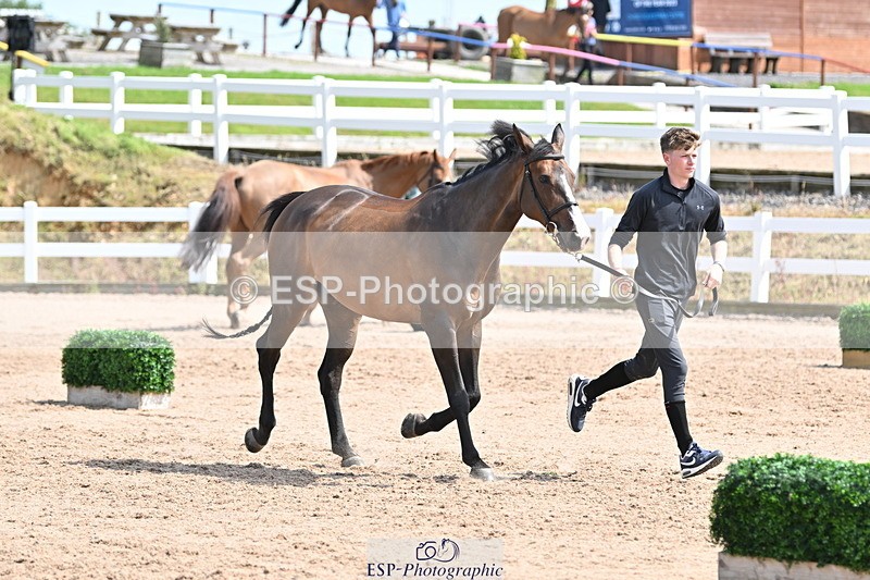 240717A-151903-02747 - Trot Up 3pm to 4pm