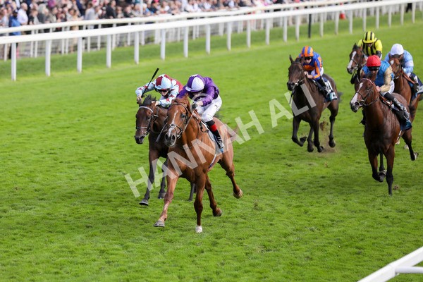 230824-Race 6-Angelo Buonarroti-8522 - Race 6 4.45pm British Stallion Studs EBF Convivial Maiden Stakes