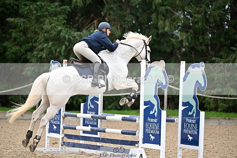 250201A-101738-00190 - Cls 01 Local Horse 90cm