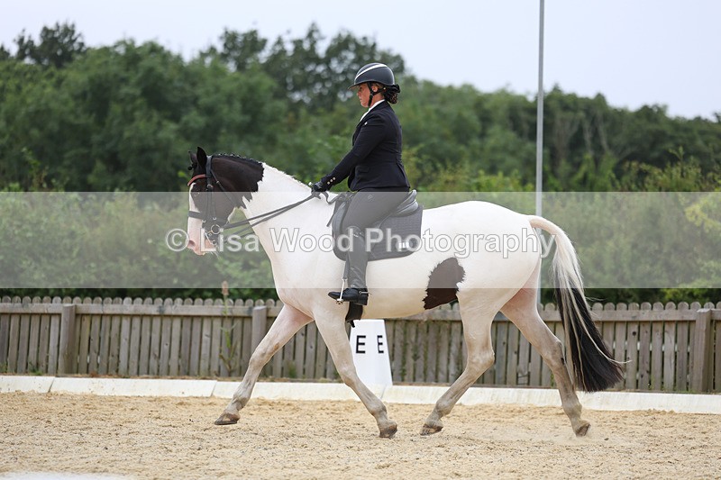 3E7A7349 - Class 9: Elementary 4 2024 - No sections