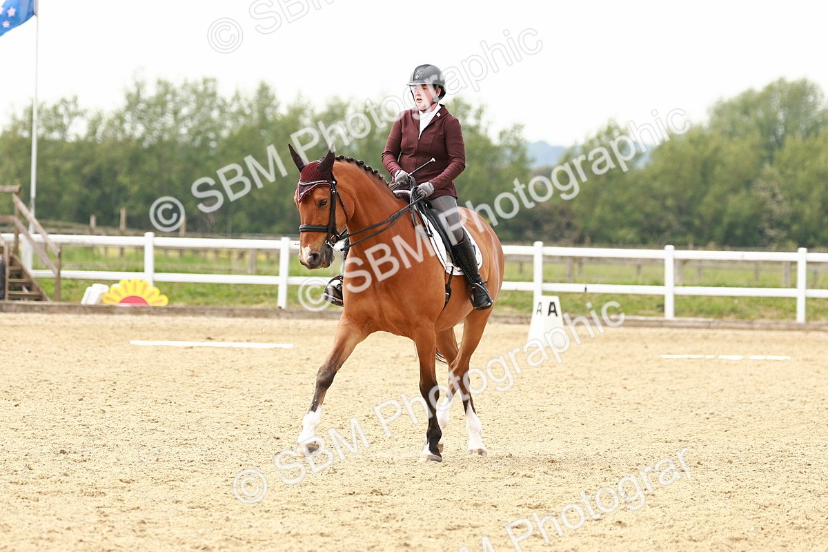 SBM_002801 - Class 12 - Medium 4