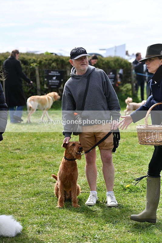 WJ5_9849 - Class 3 Most Handsome Dog