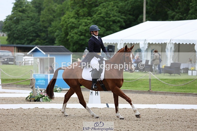 240524-090348-07047 - 251-MILESTONE_GOLD-Gaby_Bull