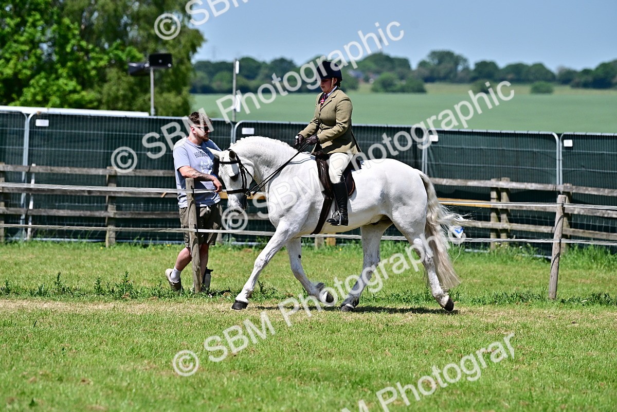 SBM_17498 - Class 95-97 - BSPS LHS Performance Ponies