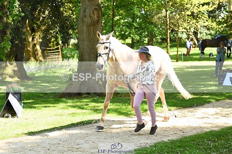 230524-150922-00095 - 356-THE_DUMB_BLONDE-Kat_Raybould-WEDTrotUp+DR