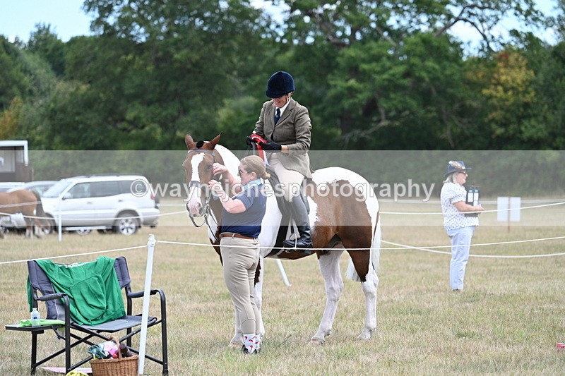 WJ7_5700 - Class 12 Ridden Cob