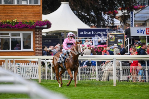 250823-Race 4-Live In The Dream-0691 - Race 4 3.35pm Coolmore Wootton Bassett Nunthorpe Stakes