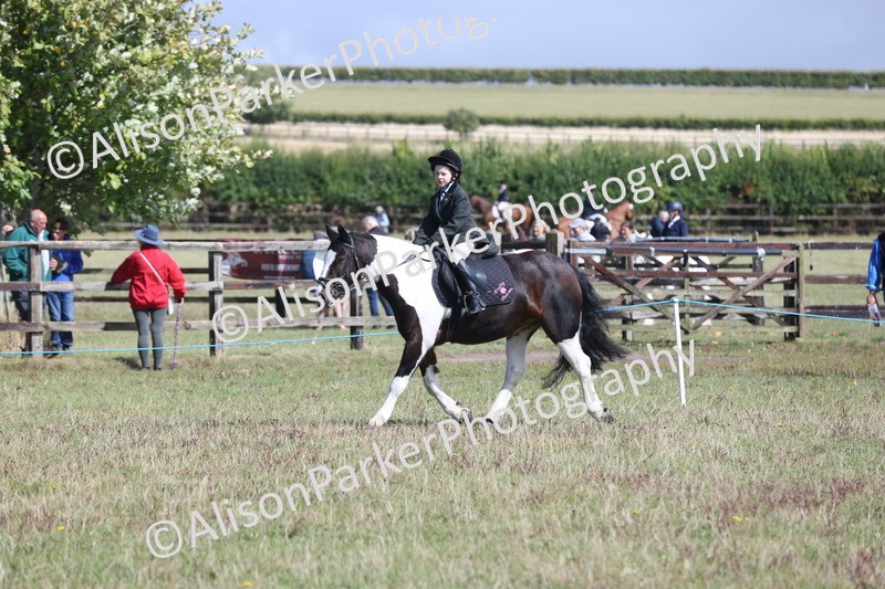 20250831-2485 - Class 16 - Family Pony