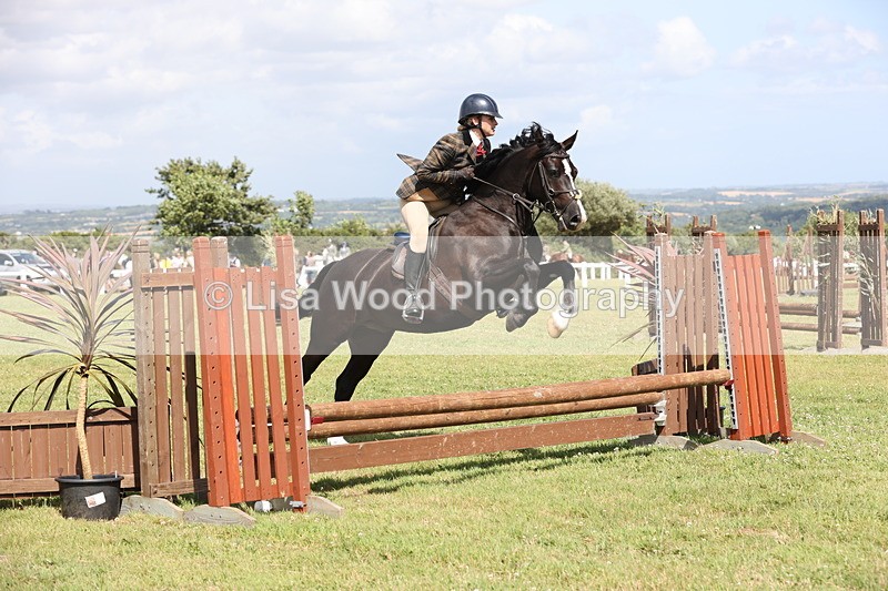 JPP_2212 - Class 19: Working Hunter 60cm