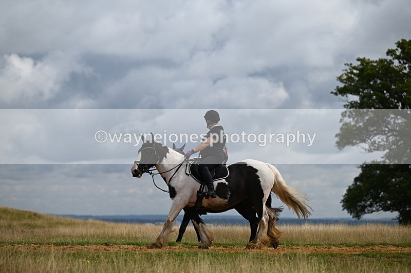 DSC_4079 - Time at Statue 09:50 to 11:09