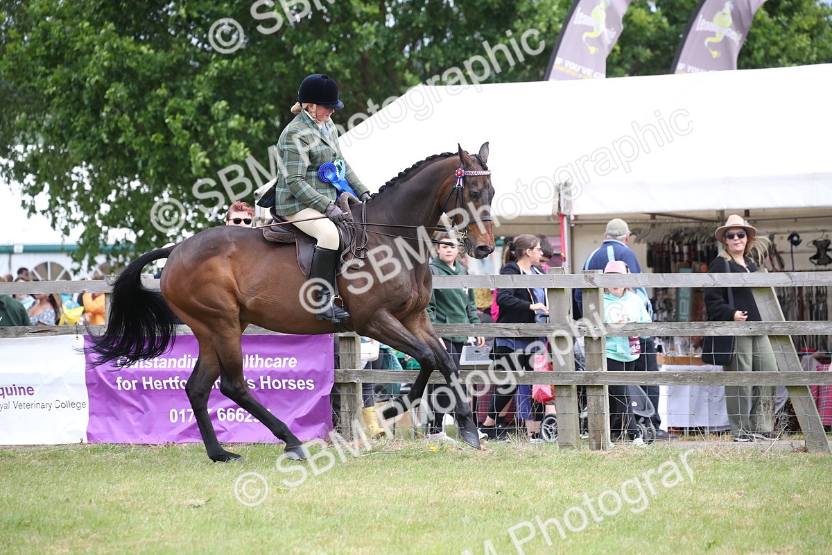 SBM_14258 - Class 113-114 - Retraining of Racehorses Ridden