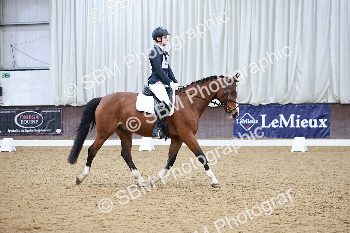 SBM_004667 - Ring 3 - International -  Working Hunter Classes 23-2-25