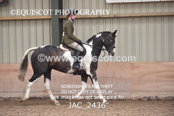 JAC_2436 - CLASS 3 Intermediate Working Hunter