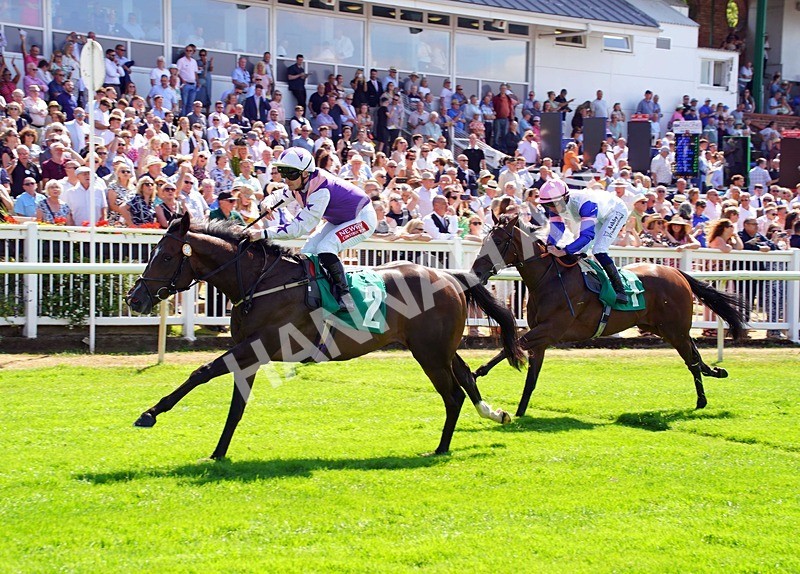 240726-Race 2-Blakey Ridge-01126 - Race 2 14.30pm Sky Bet For The Fans EBF Novice Stakes