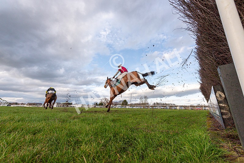 240226-Race 5-Chasingouttheblues-5125 - Race 5
