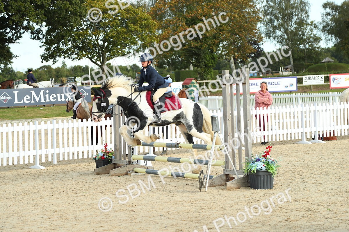 SBM_53537 - J8 - Junior Pony 65cm Championship