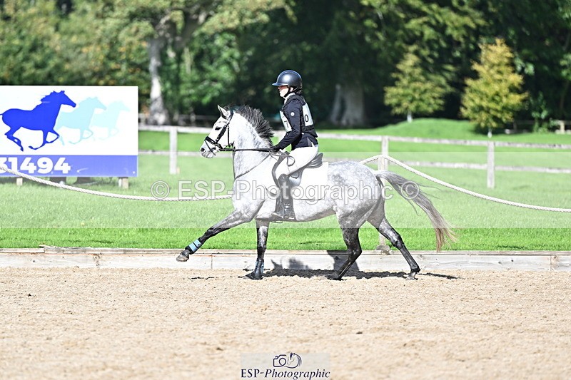 251005A-140605-04283 - Cls 09 Nov 80-85cm